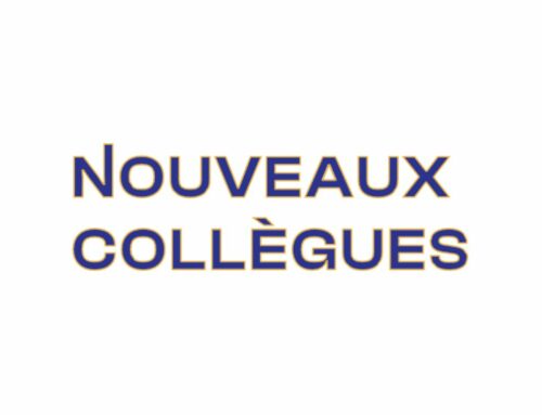 Nouveaux Collègues : l’association qui réinvente l’inclusion au travail